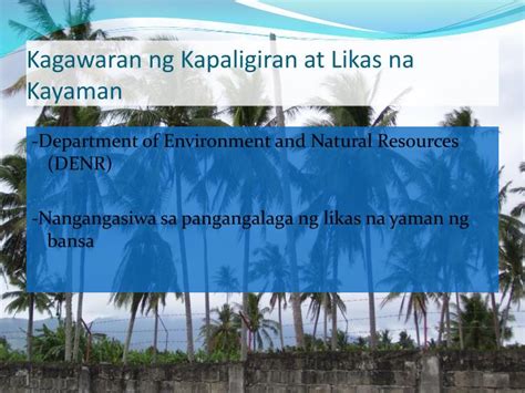 tungkulin ng kagawaran ng kapaligiran at likas na yaman|Ang Kapaligiran, Kalikasan at mga Likas na yaman.